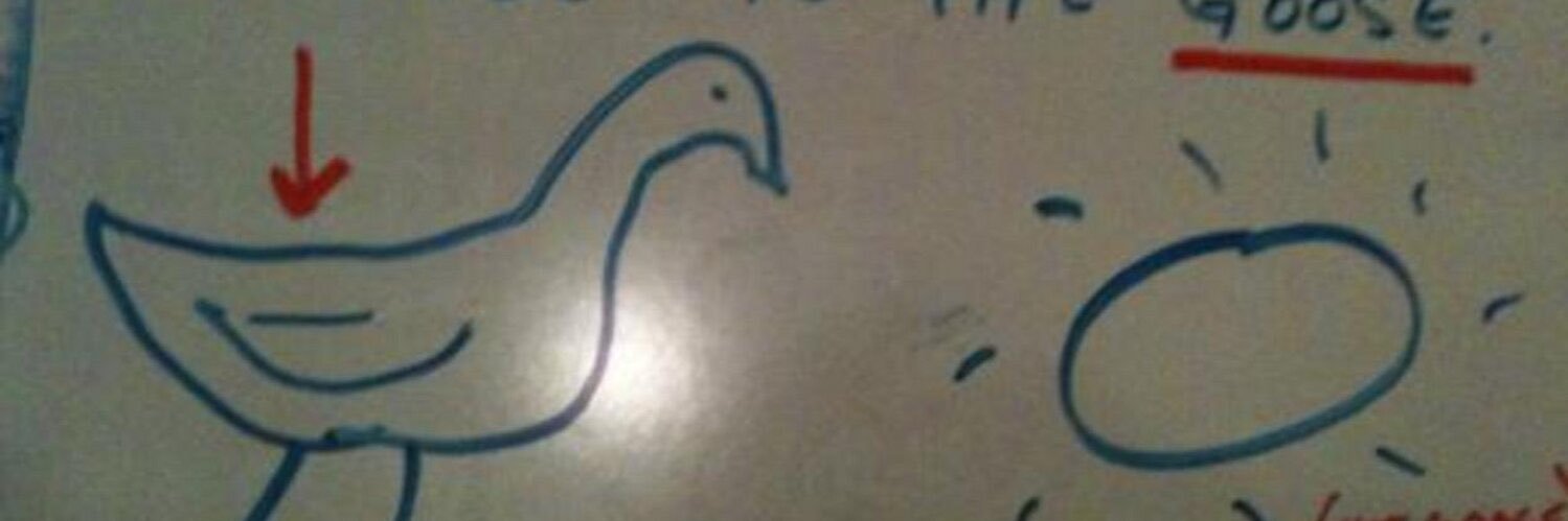 a.y.o.n.e.t.e banner