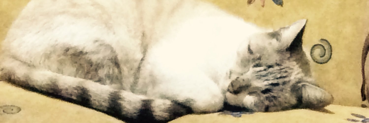 ale_deara's profile banner image