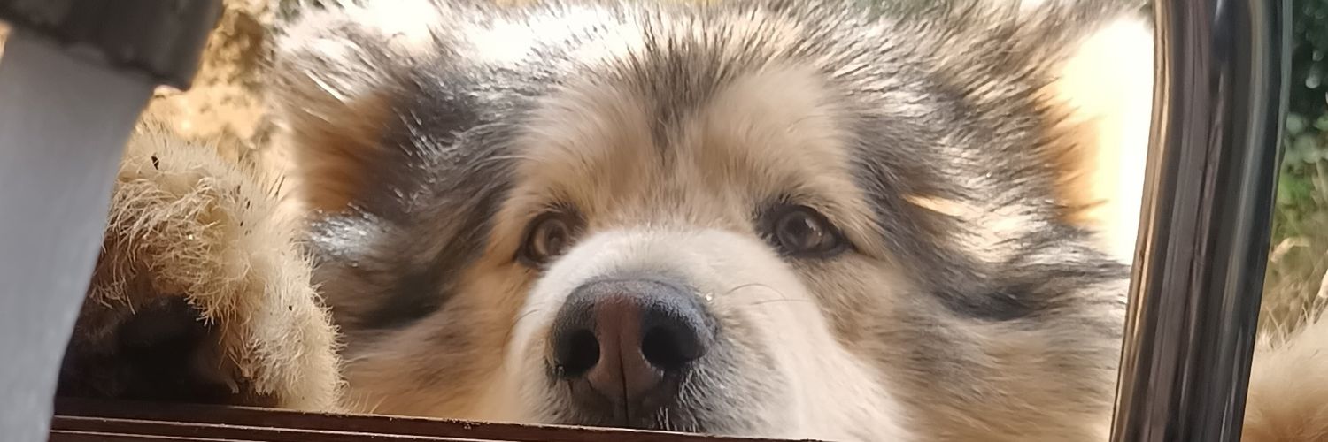 manfo @ 𝔥𝔞𝔡𝔢𝔰 𝔱𝔢𝔠𝔥 banner