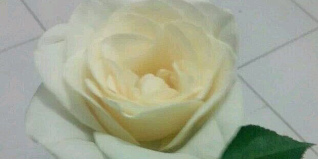dewa_RI's profile banner image