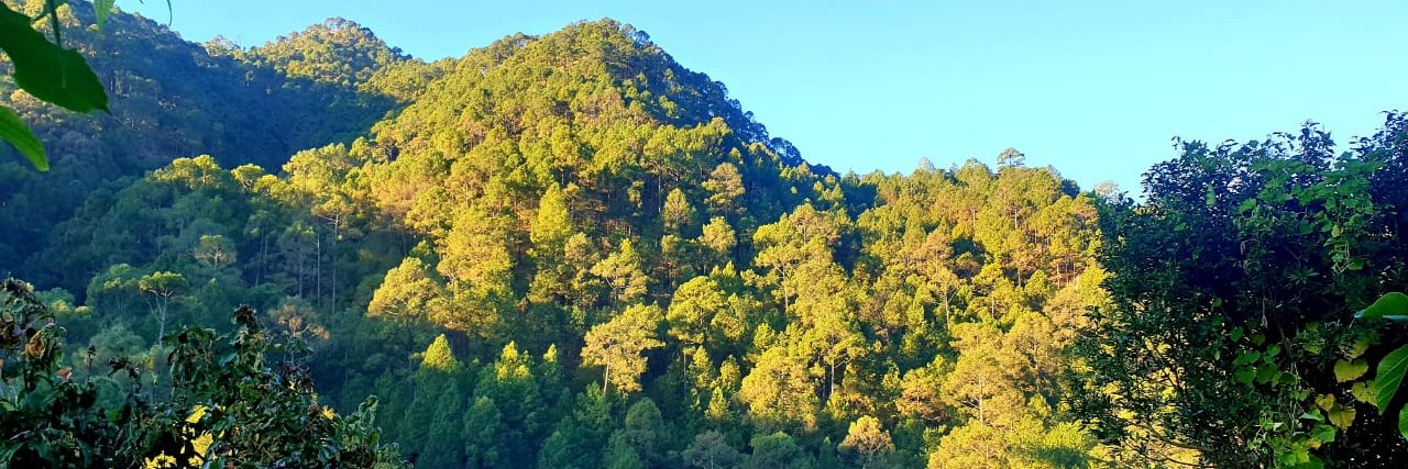 Vikas Srivastava banner