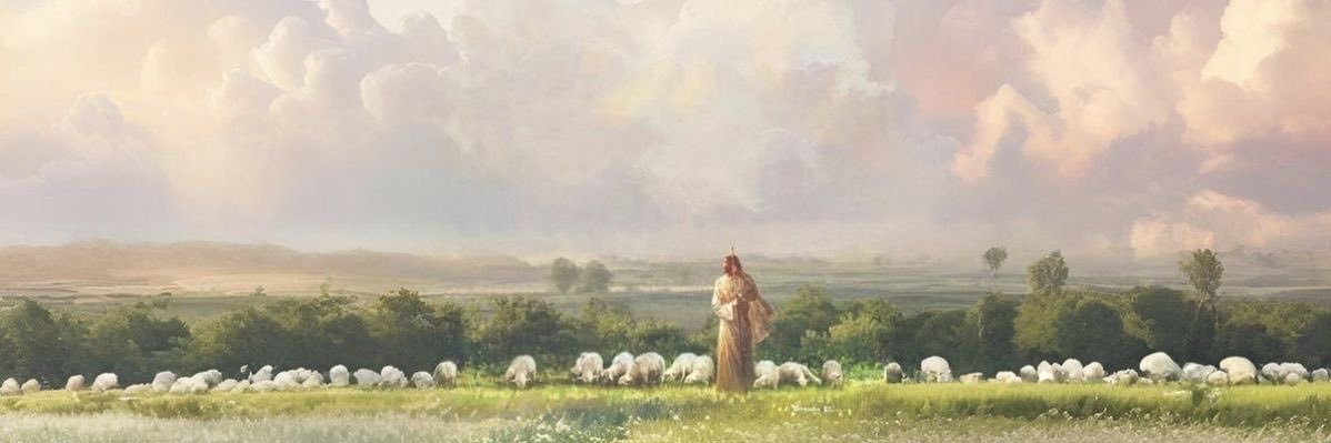 yessicayared's profile banner image