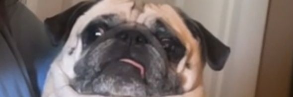 GeeItsMax's profile banner image