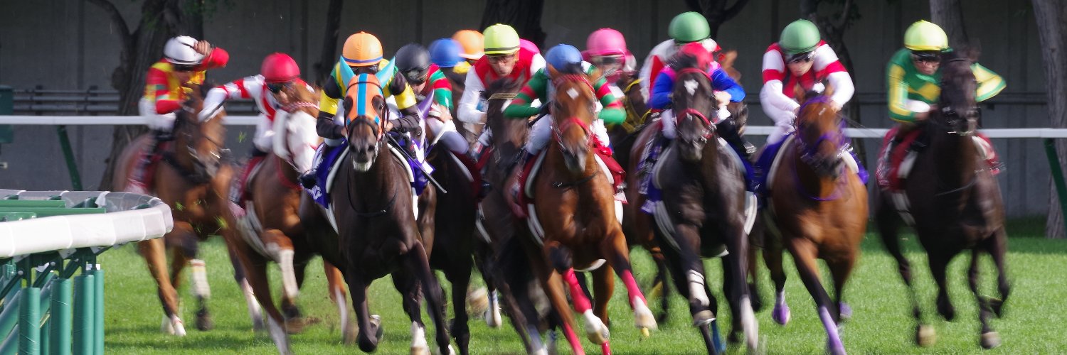 下り坂最高 banner