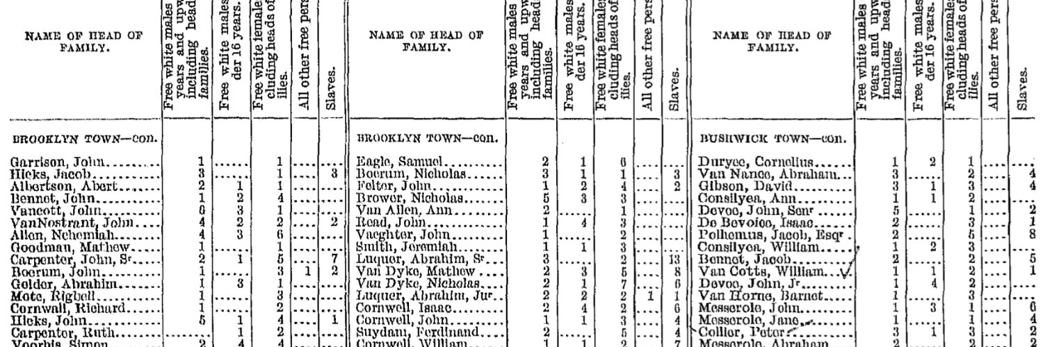 Slavers Of New York banner