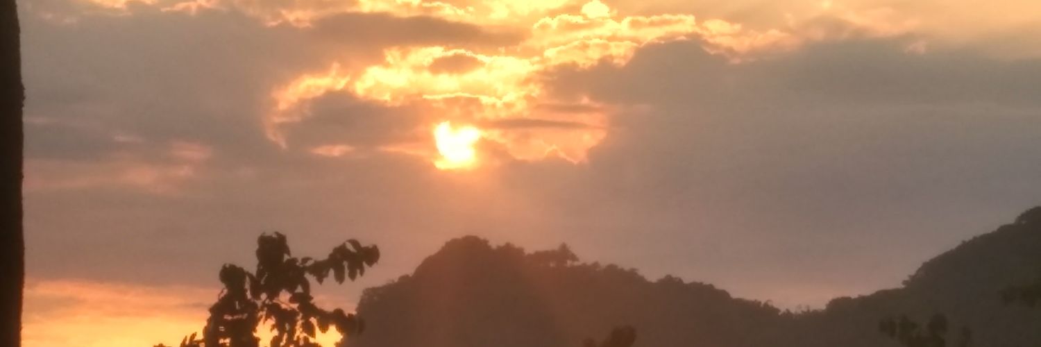 Michel ⚡ banner