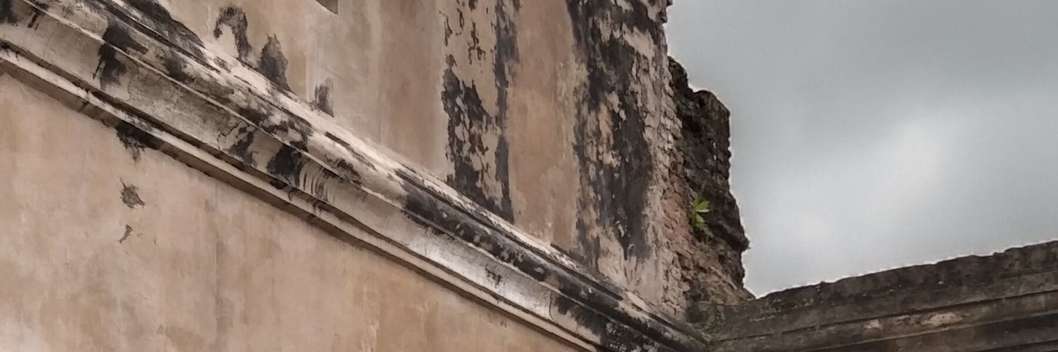 shodijah__'s profile banner image