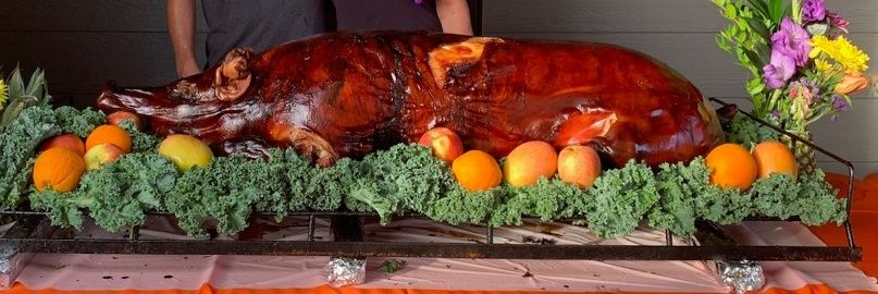 WhenPigsDie's profile banner image