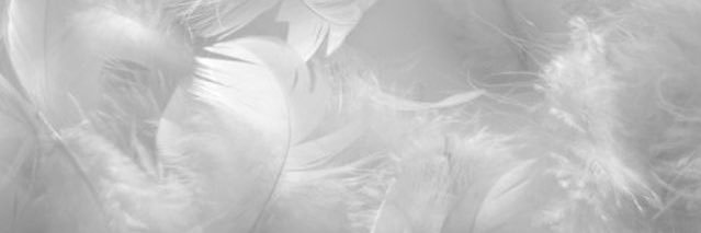 euvexa's profile banner image