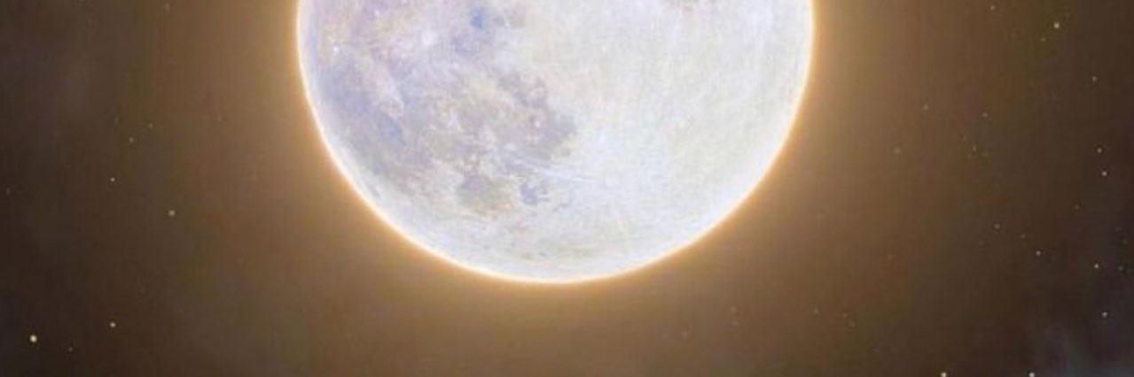 raffaellacomi's profile banner image