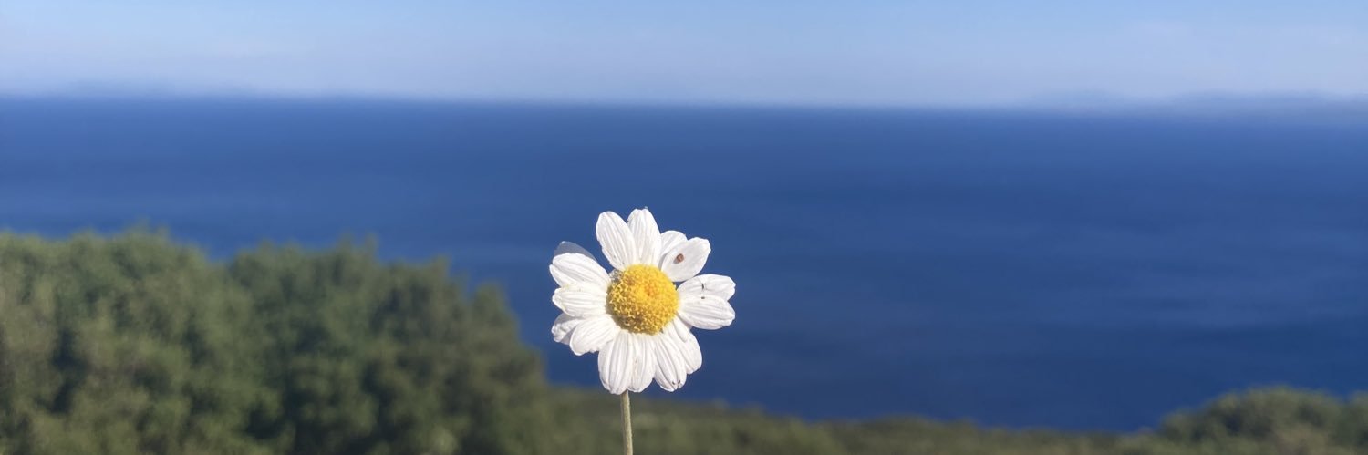 atiklaaa's profile banner image