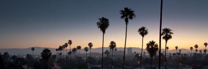 L J banner