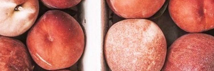 ElenaIsabelle_'s profile banner image