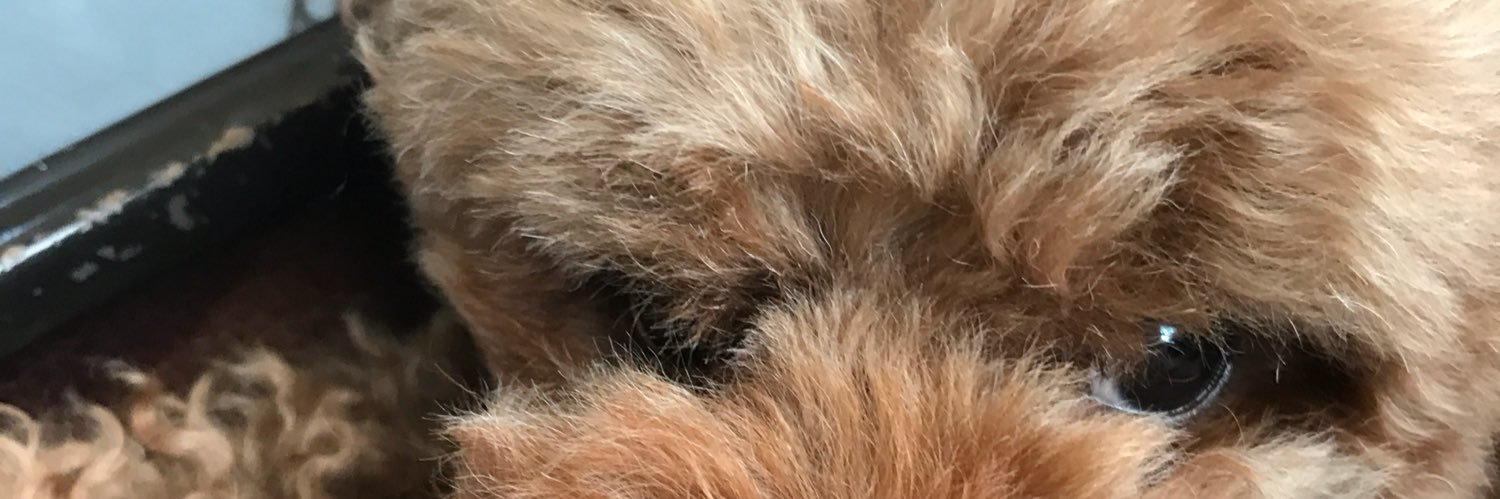 222clothes's profile banner image