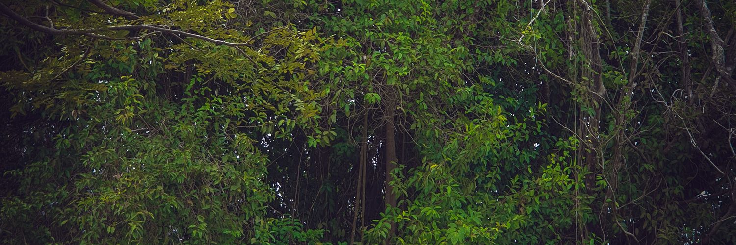 as_shiddiq's profile banner image