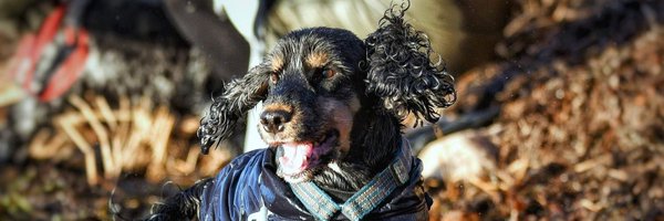th3Fudgey Profile Banner