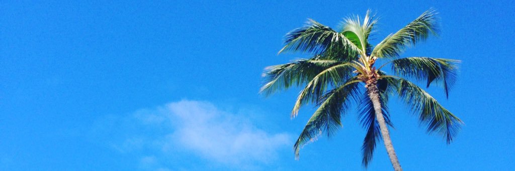maiko_aloha's profile banner image