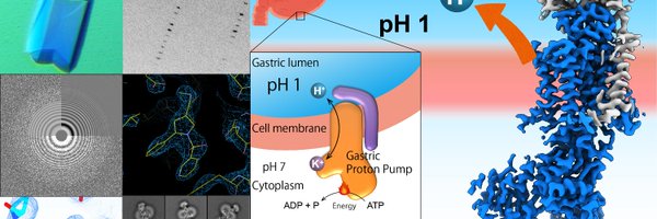 GProtonPump Profile Banner