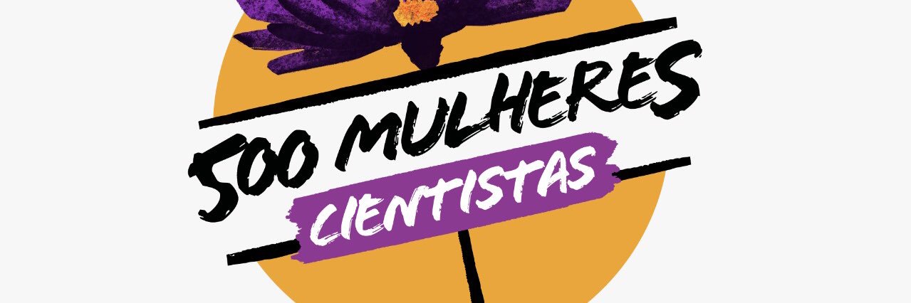 500ws Brasil banner