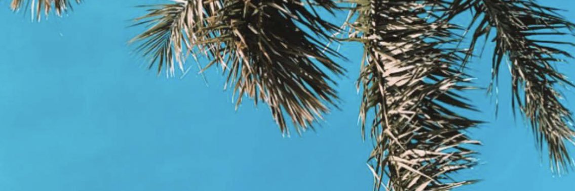 MAlkhrese's profile banner image