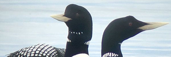 _James1Phillips Profile Banner