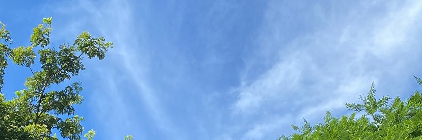 Yolanny_08's profile banner image
