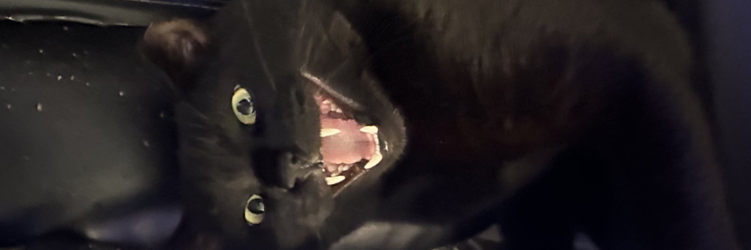 izzynobev's profile banner image