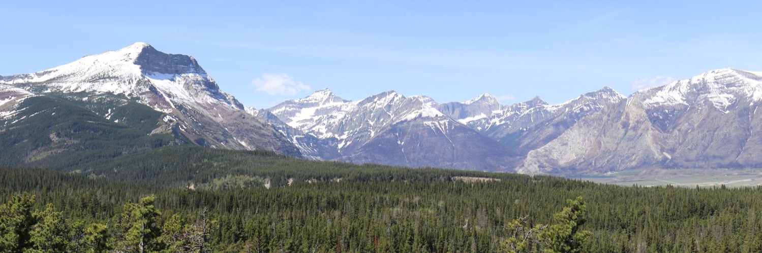 Alberta Birding banner
