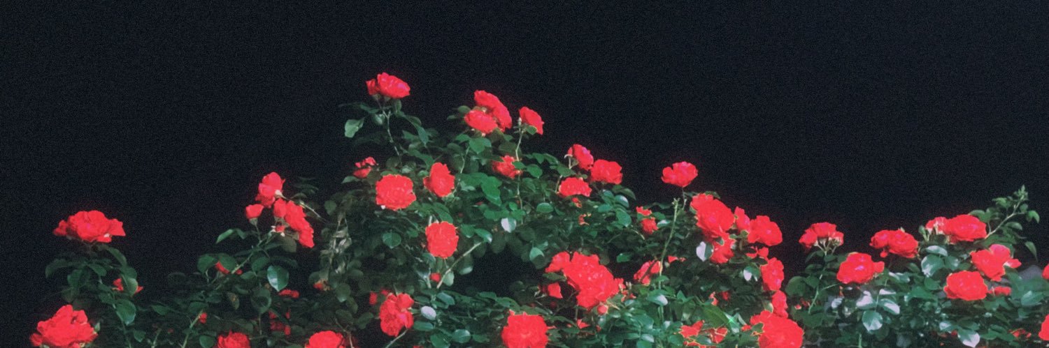 zcczlu's profile banner image