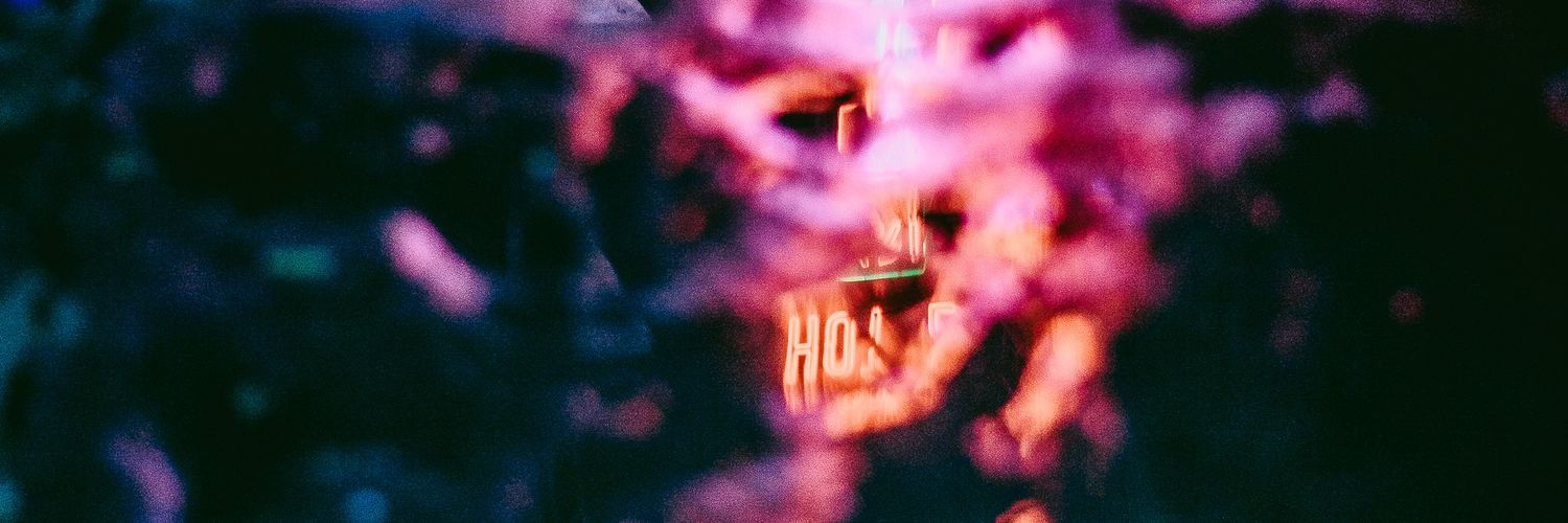 Dualist Inquiry banner