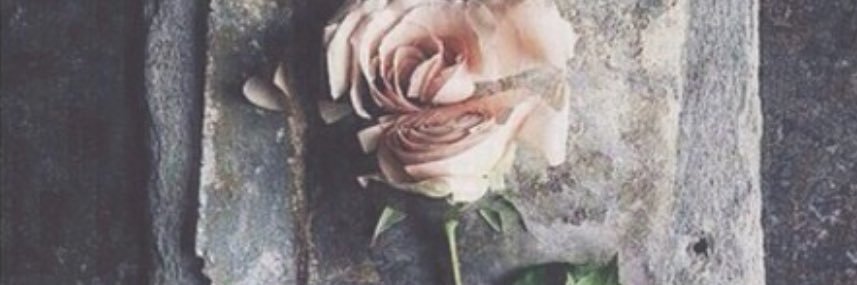 _Sha1419's profile banner image