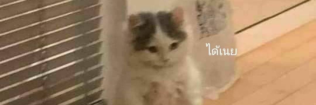 prettycharmin's profile banner image