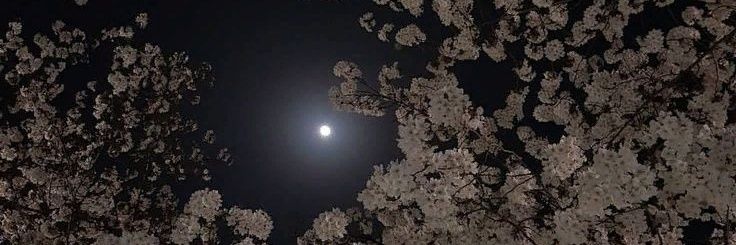 xinqee's profile banner image