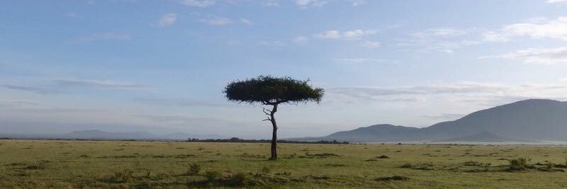 AfricaTravelNetwork banner