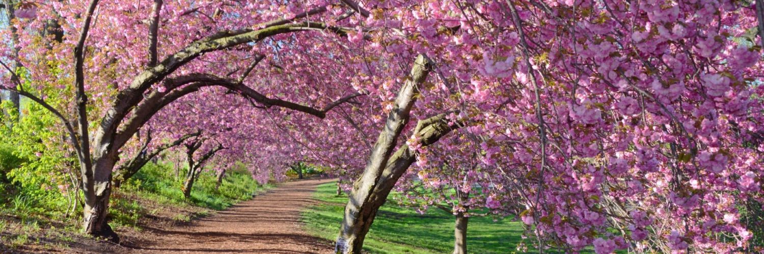 Habitant #ParisCentre banner