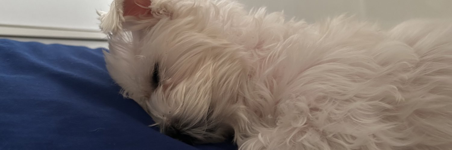 axnmm_'s profile banner image