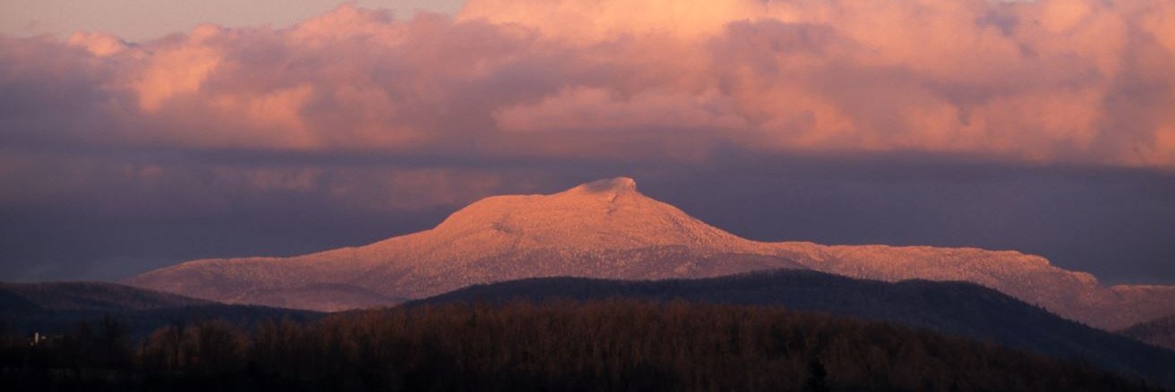 Vermontorg's profile banner image