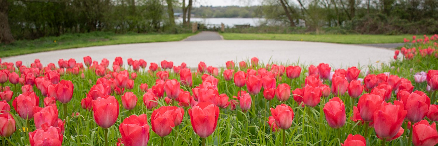 Ashfield Council banner