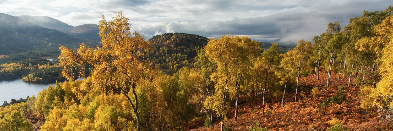 The Scottish Rewilding Alliance's banner