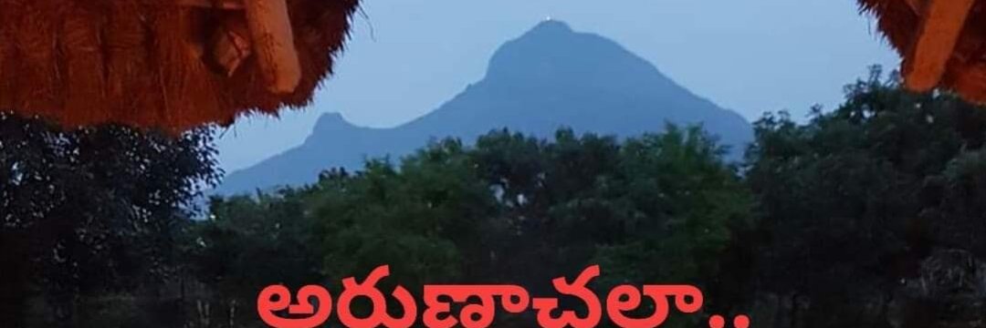 agnitilak's profile banner image
