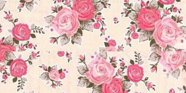 Irisdeboerr's profile banner image