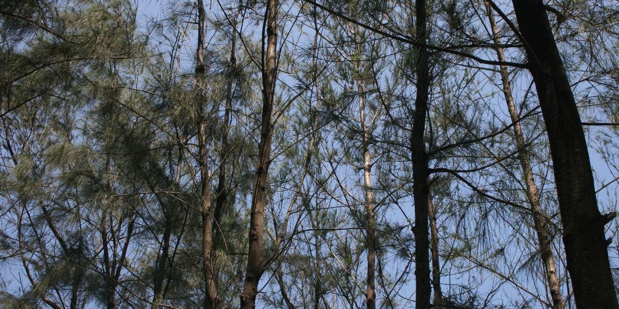 shatsang's profile banner image