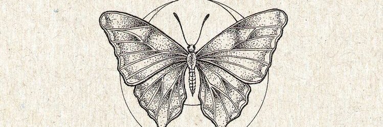 AnnMendooza's profile banner image