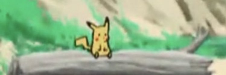 chamsteriana's profile banner image
