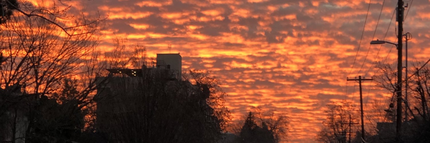 Cole 🦐🥏 banner