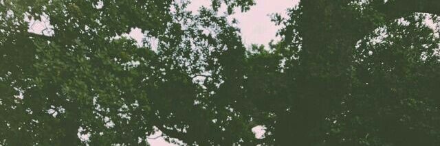 . banner