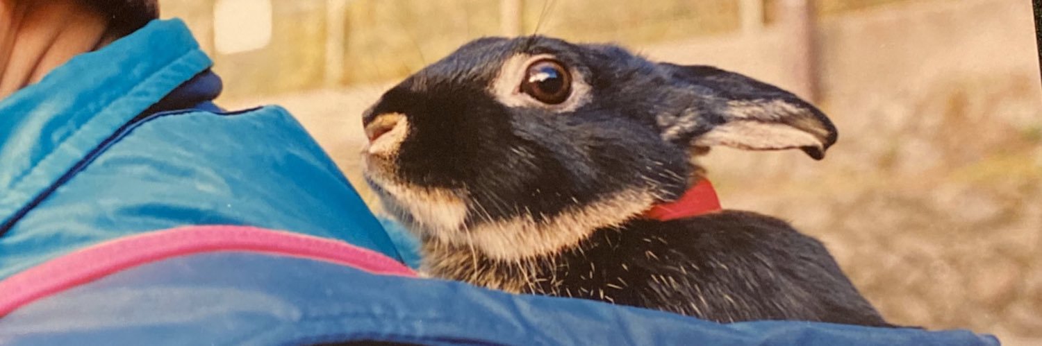 chourou321's profile banner image