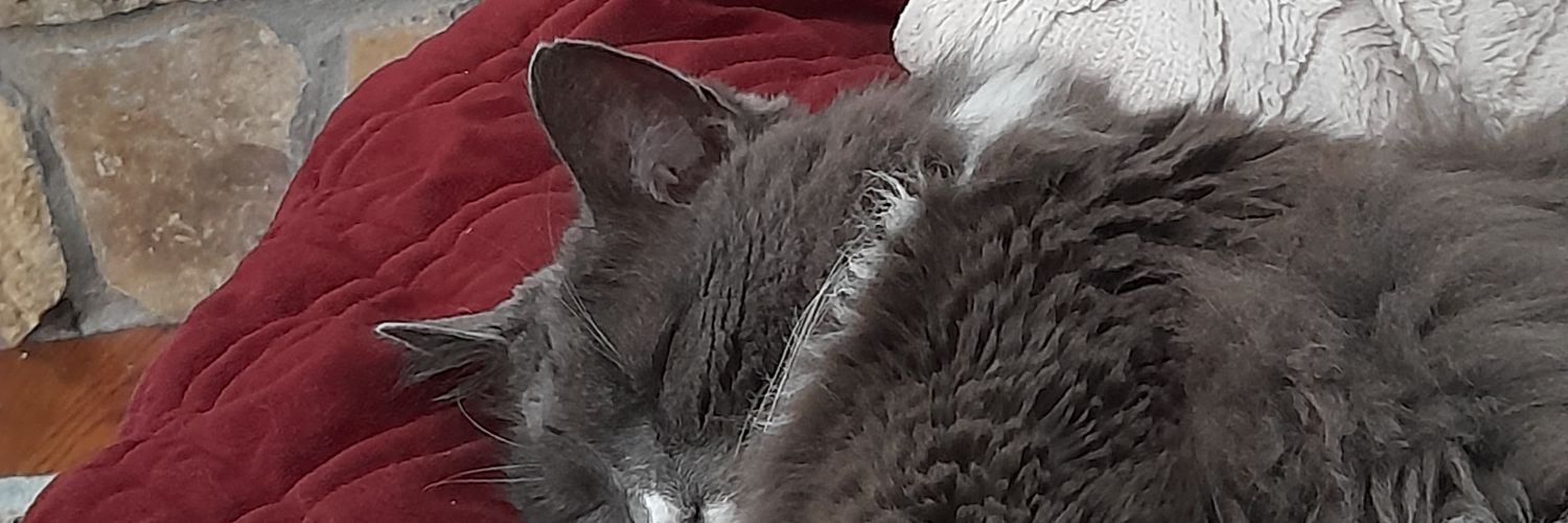 LazyPuffer's profile banner image