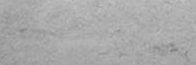 carl banner
