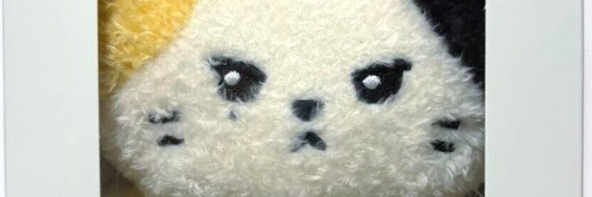 🌼Dandelion🌼 || ot9👑 banner